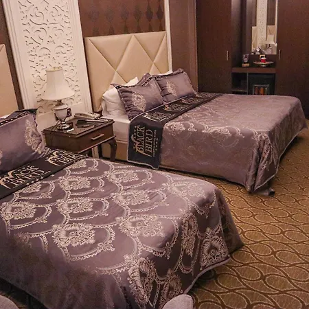 Black Bird Thermal & Gokcedere