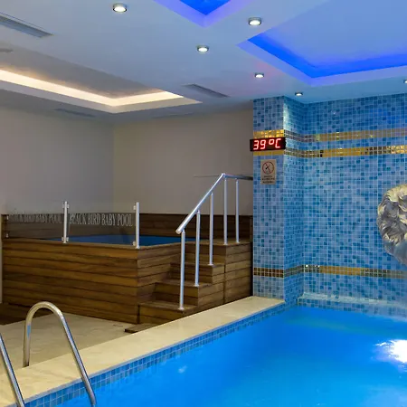 Black Bird Thermal & Hotel 4*