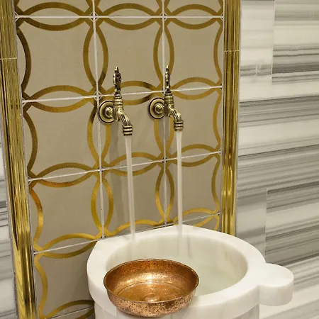 酒店 黑鸟spa酒店