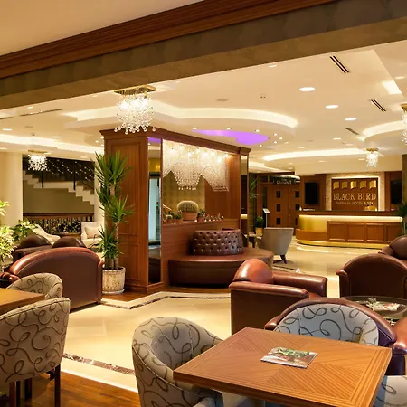 黑鸟spa酒店 酒店 Gokcedere