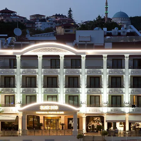 Black Bird Thermal & Hotel 4*