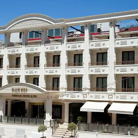 Black Bird Thermal &