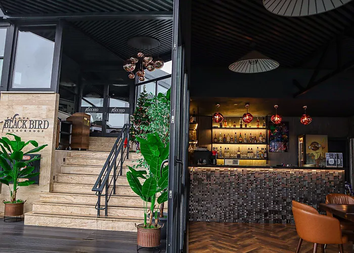 وسبا بلاك بيرد ترمال غوكْتْشيديري